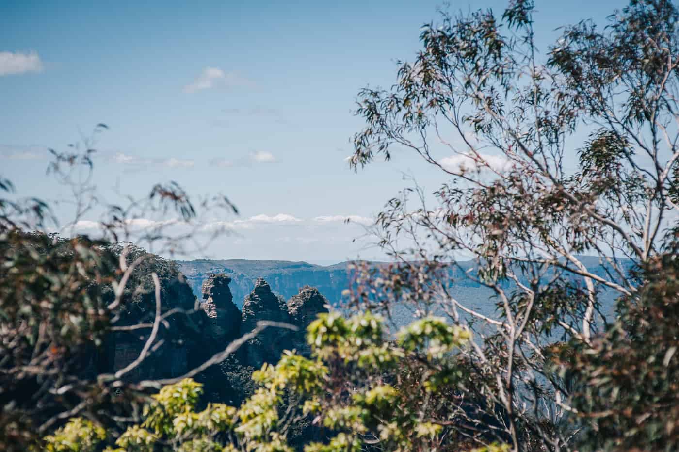 Round Walking Track 