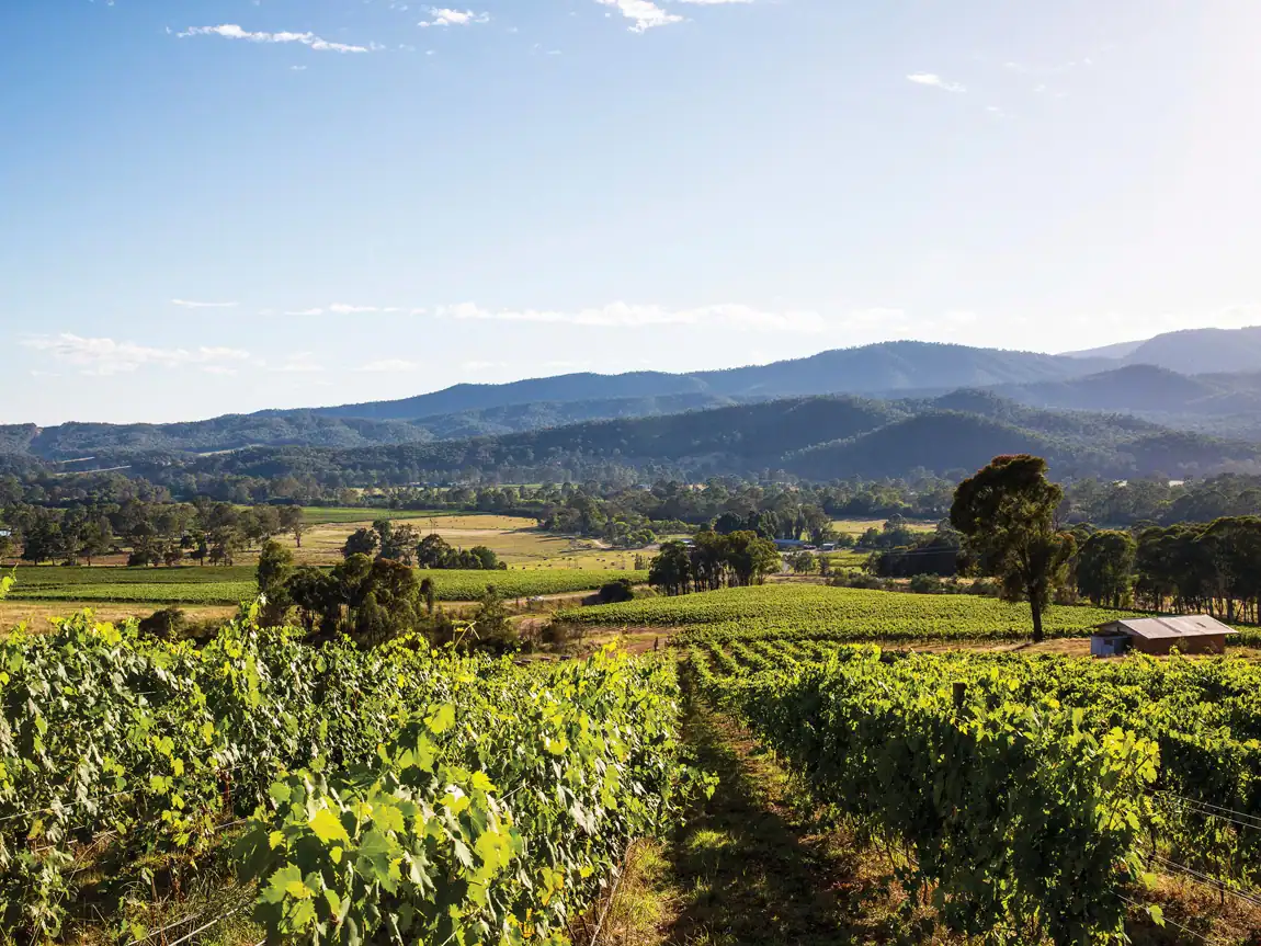 King Valley