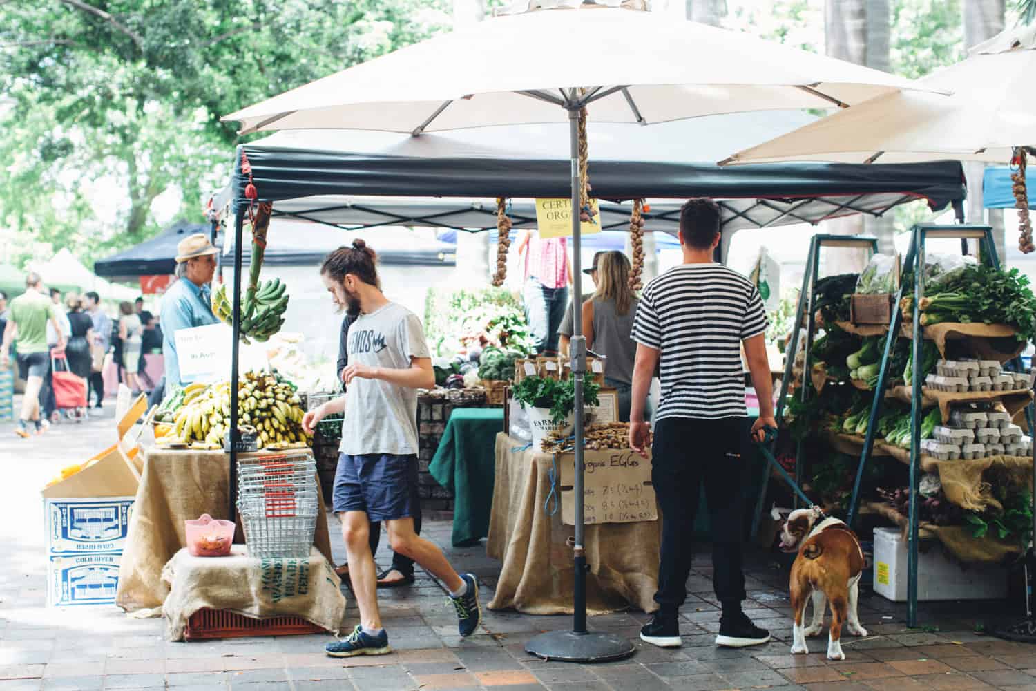 Kings Cross Organic Farmers Market