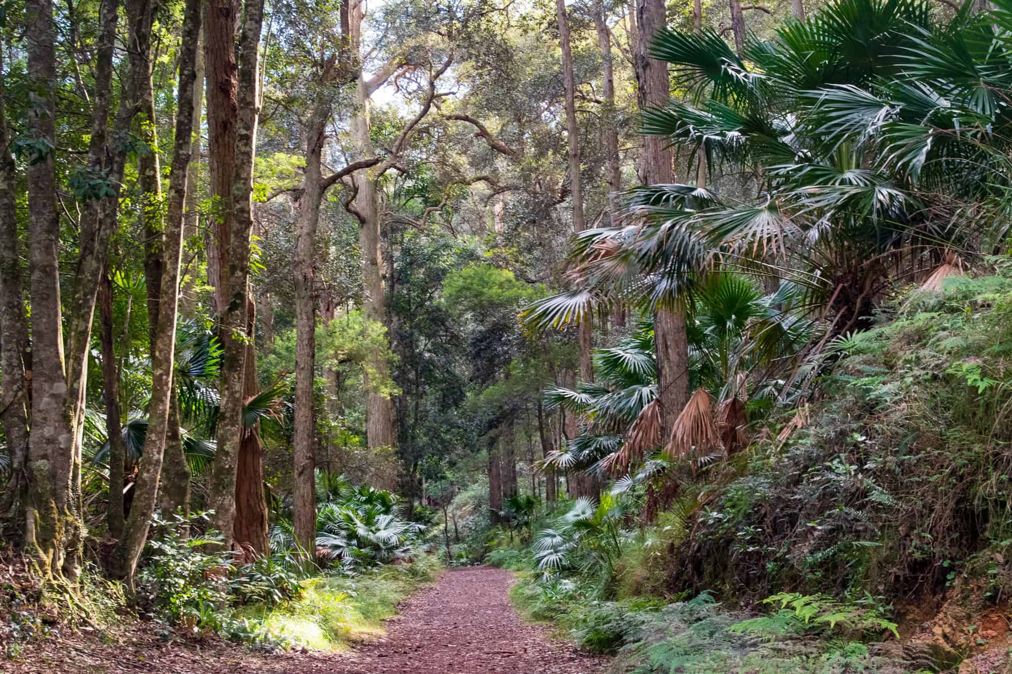 Lady Carrington Drive (Image Credit: The Wildlife Diaries) 