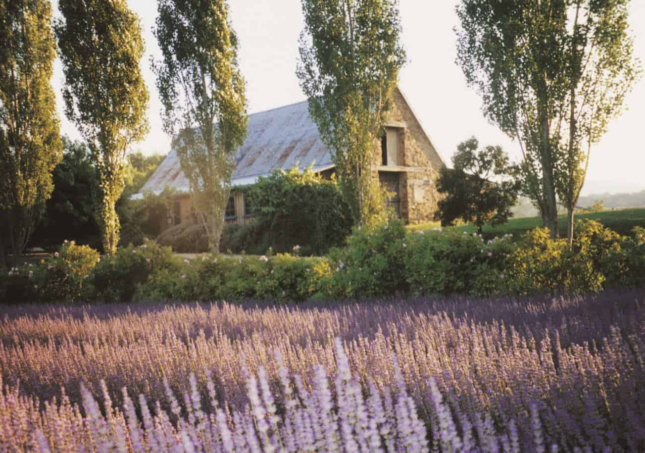 Lavandula Farm Daylesford