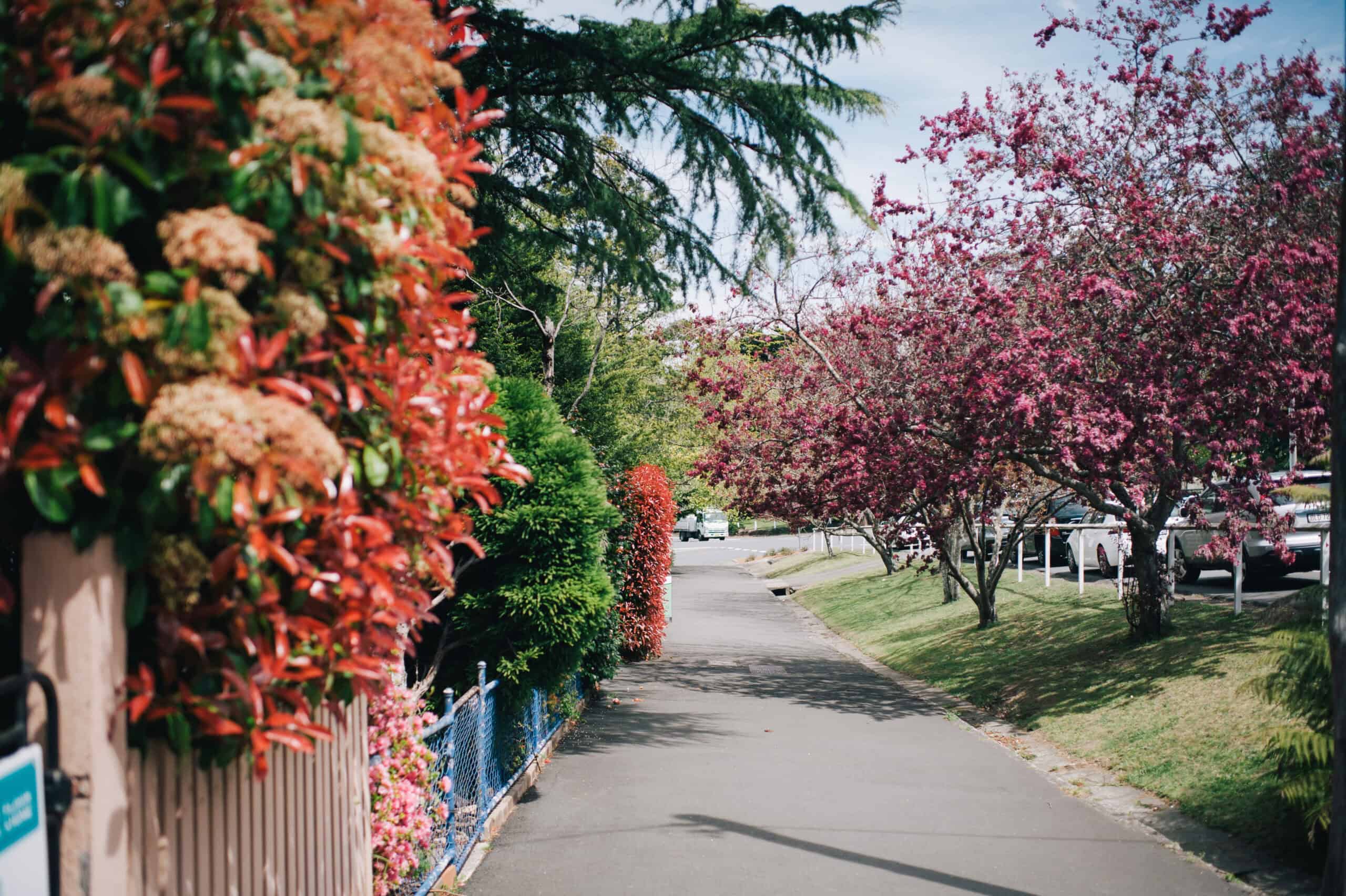 Leura Village 