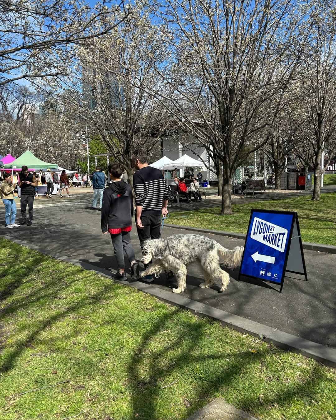 Lygon Street Market