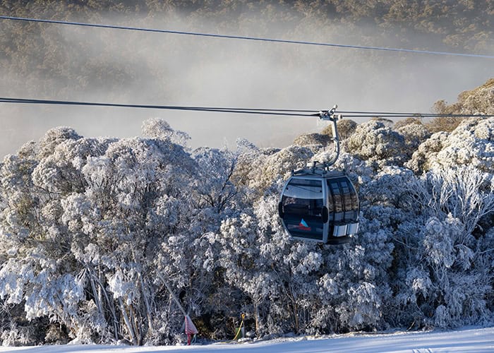 Merrits Gondola 