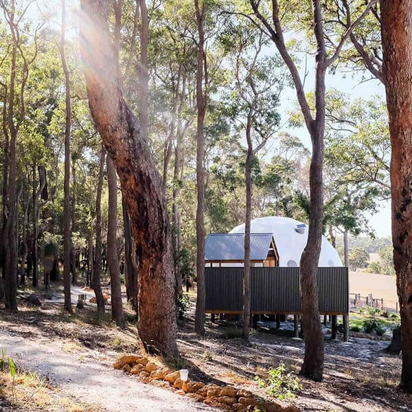 Mile End Glamping 