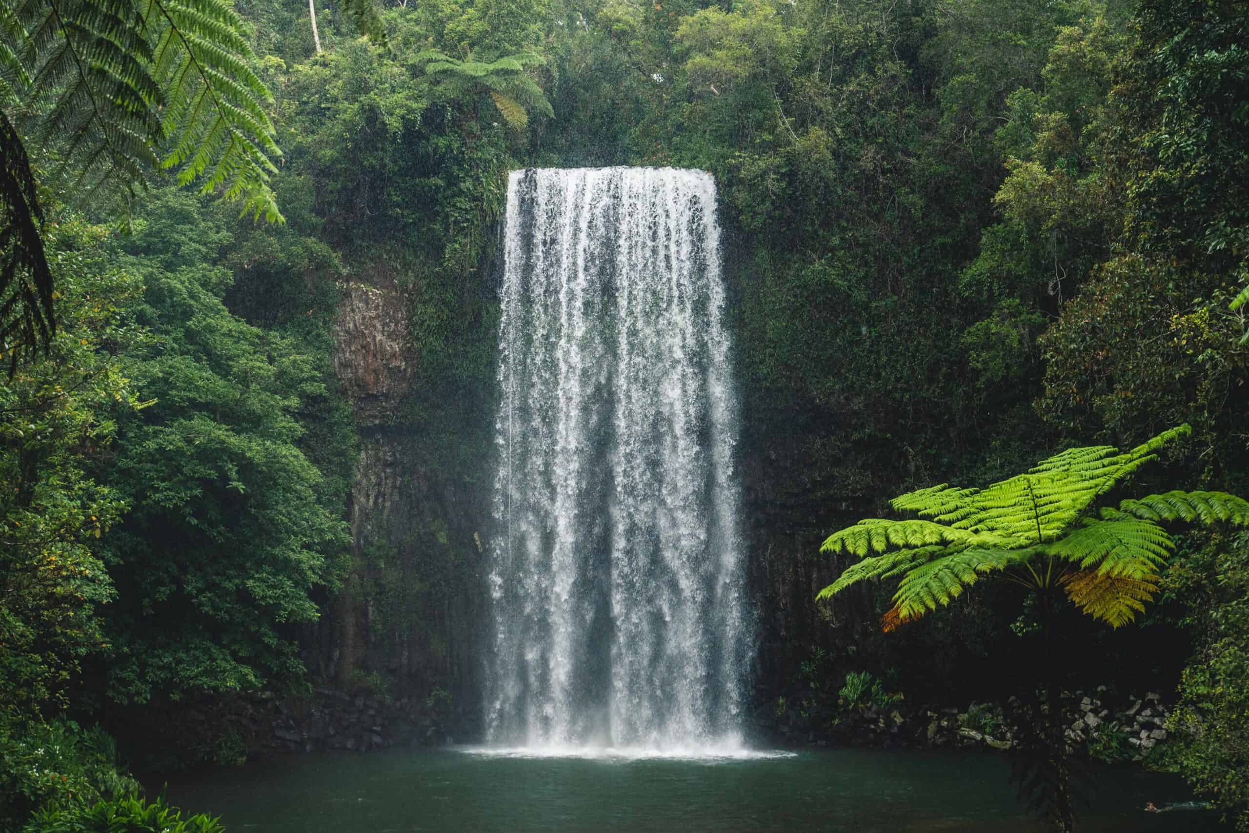 Millaa Millaa Falls (Image Credit: Tourism and Events Queensland)