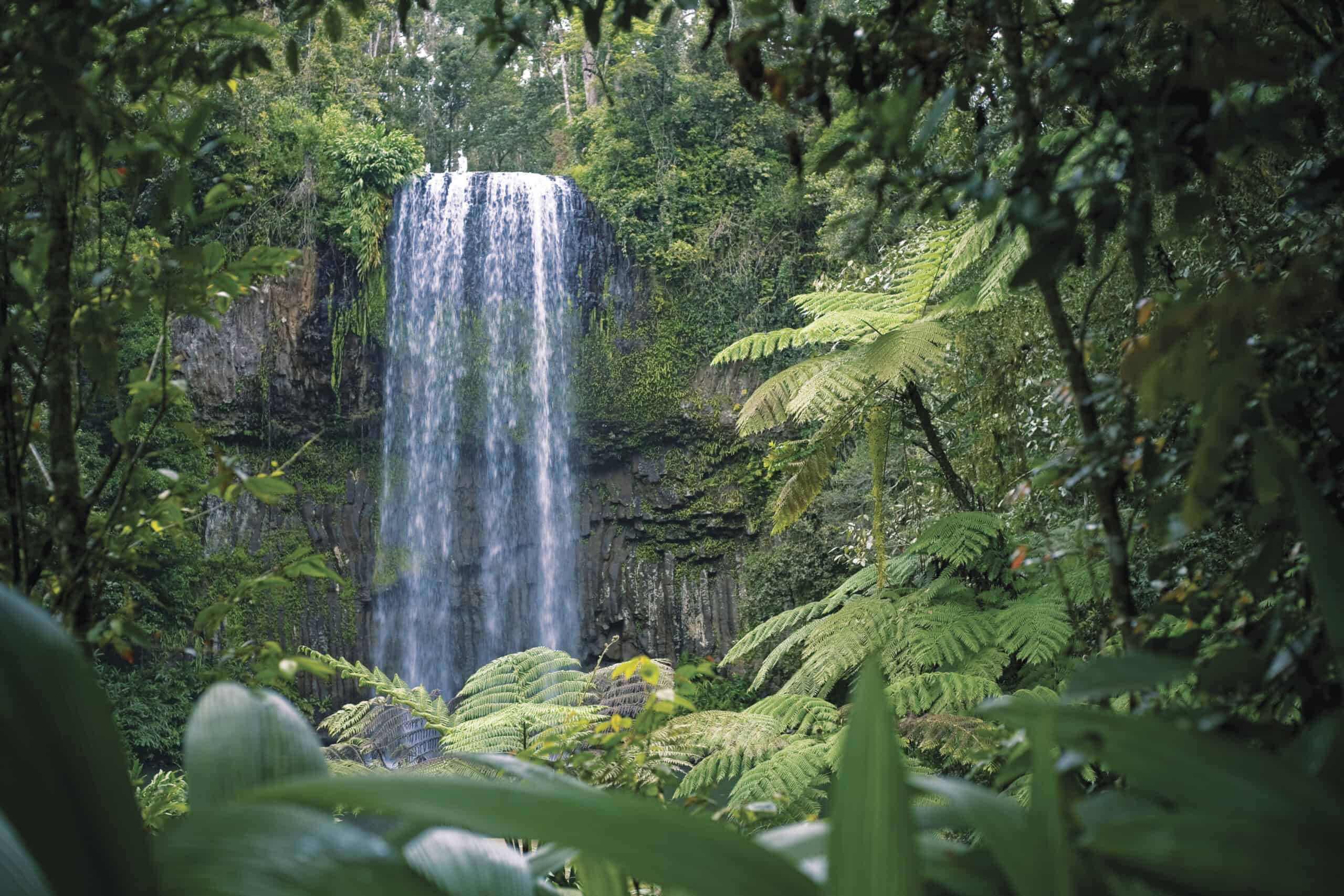 Miilla Miilla Falls, Cairns (Image Credit: Tourism and Events Queensland) 