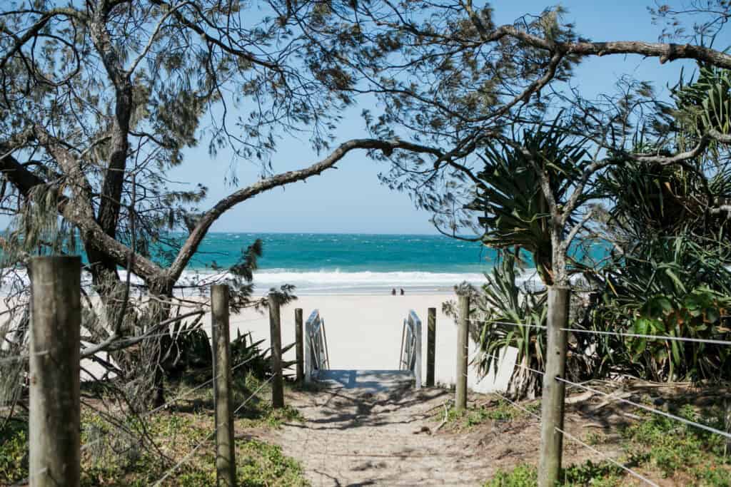 A tree lined entry to a white sand beach in Mooloolaba, Sunshine Coast.