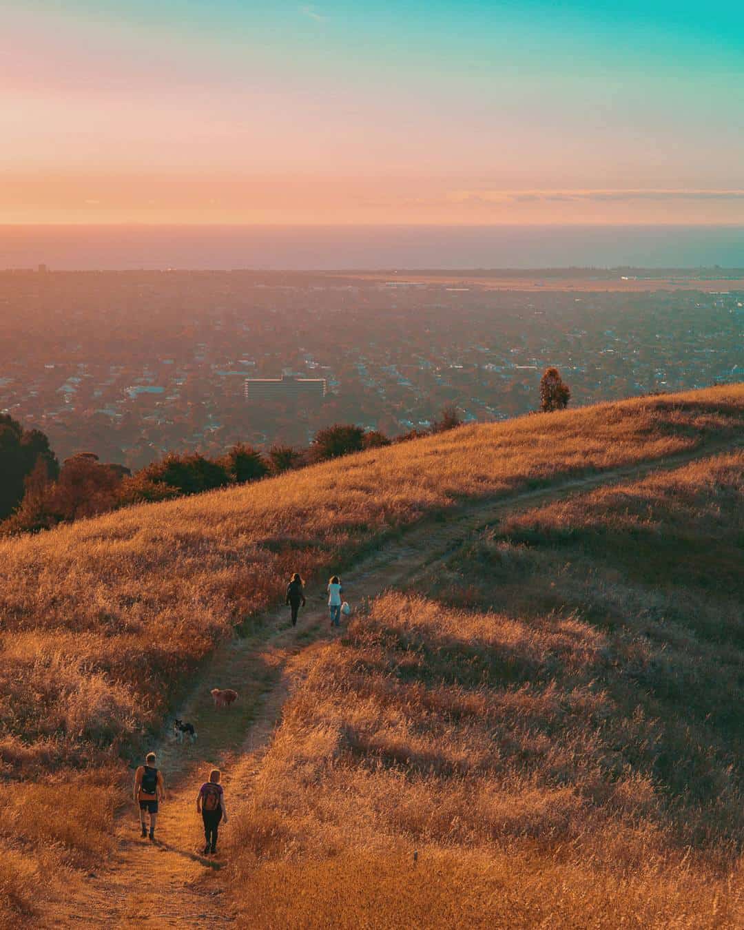 Mount Osmond Reserve (Image Credit: @reinhardt93 via Instagram)