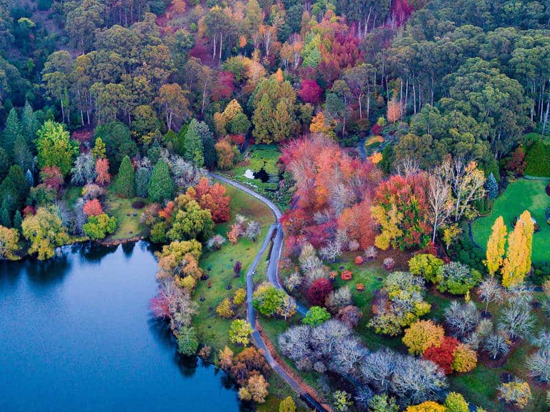 Mt Lofty Botanic Gardens