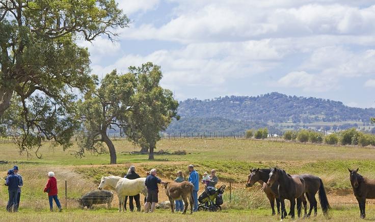 Mudgee Fine Foods Farm Walk