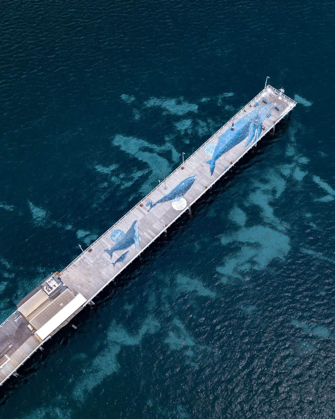 Busselton Jetty (Image Credit: Australia's South West)