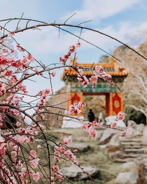 Nara Peace Park (@visitcanberra)