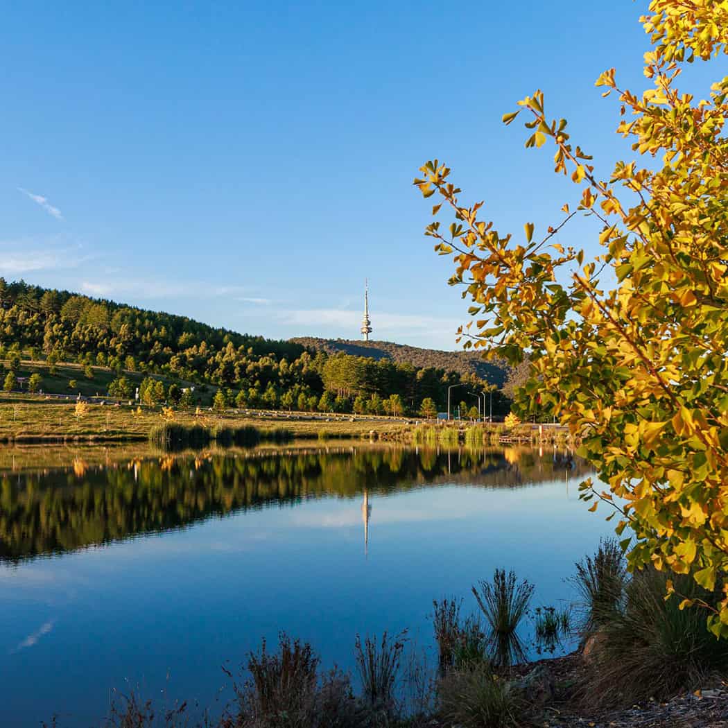 National Arboretum