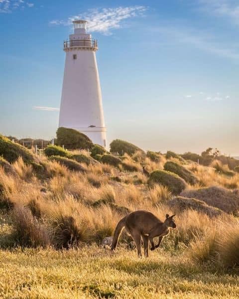 National Parks and Wildlife SA