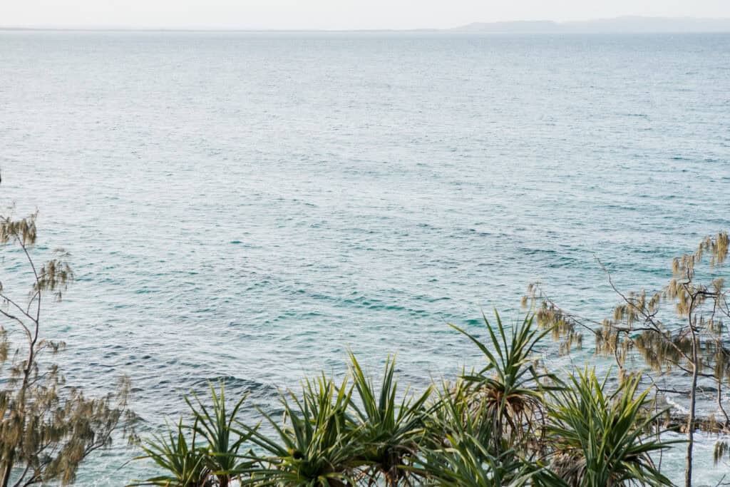 Noosa Heads Suburb Profile 