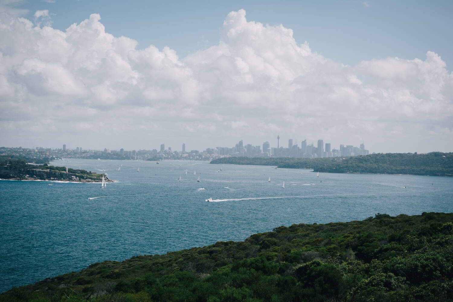 North Head Sanctuary Loop 