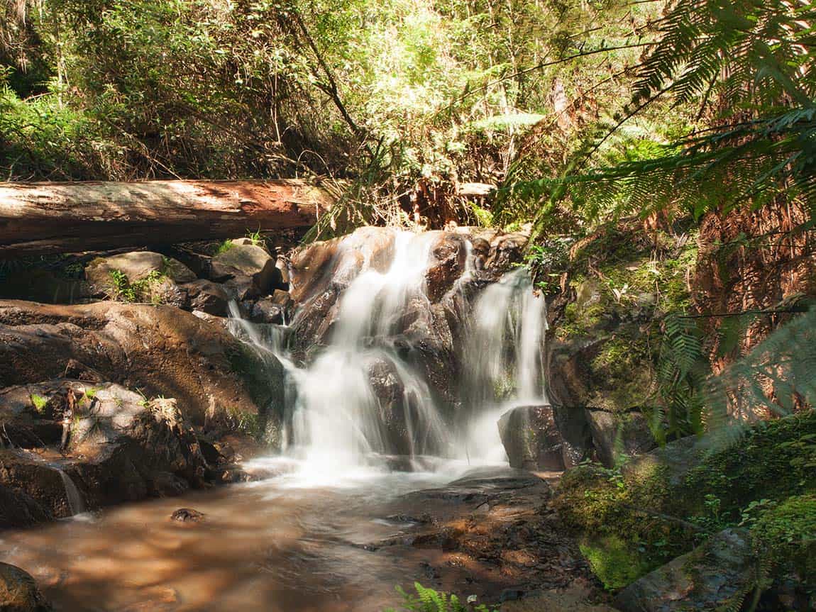 Olinda Falls 