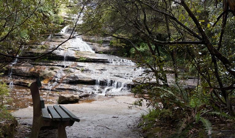 Prince Henry Clifftop Walk (Image Credit: Steve Alton) 