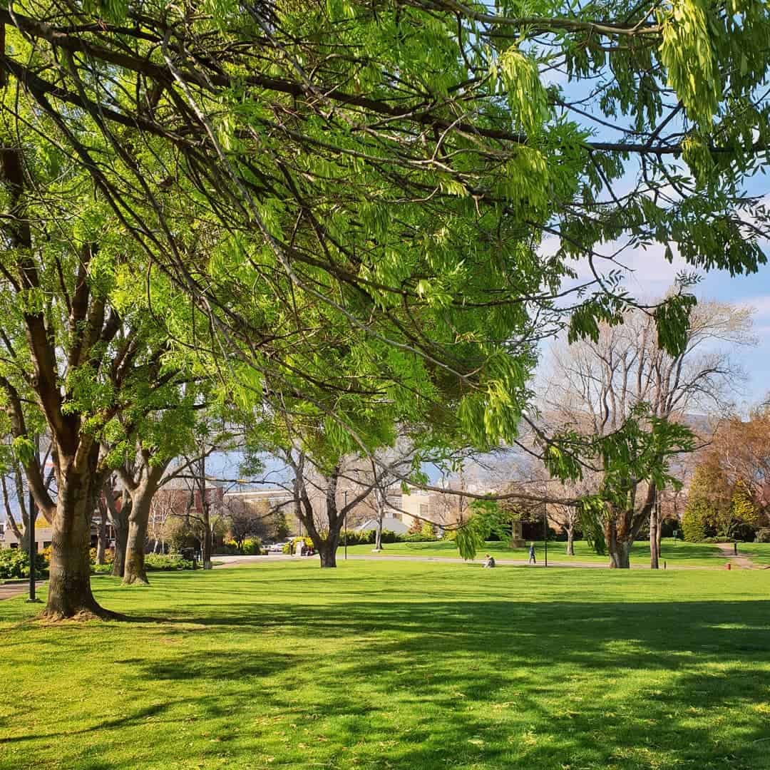 Princes Park (Image Credit: IG jakana_neders)