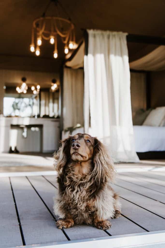 Mudgee Retreats