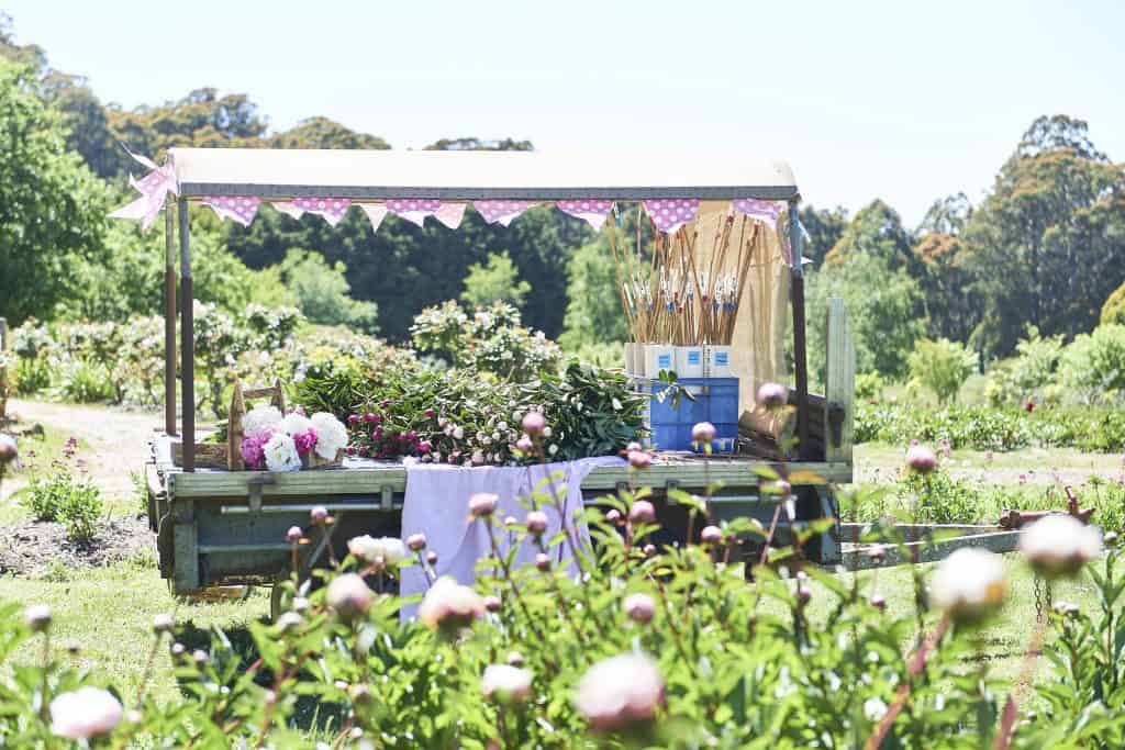 Romswood Peony Farm