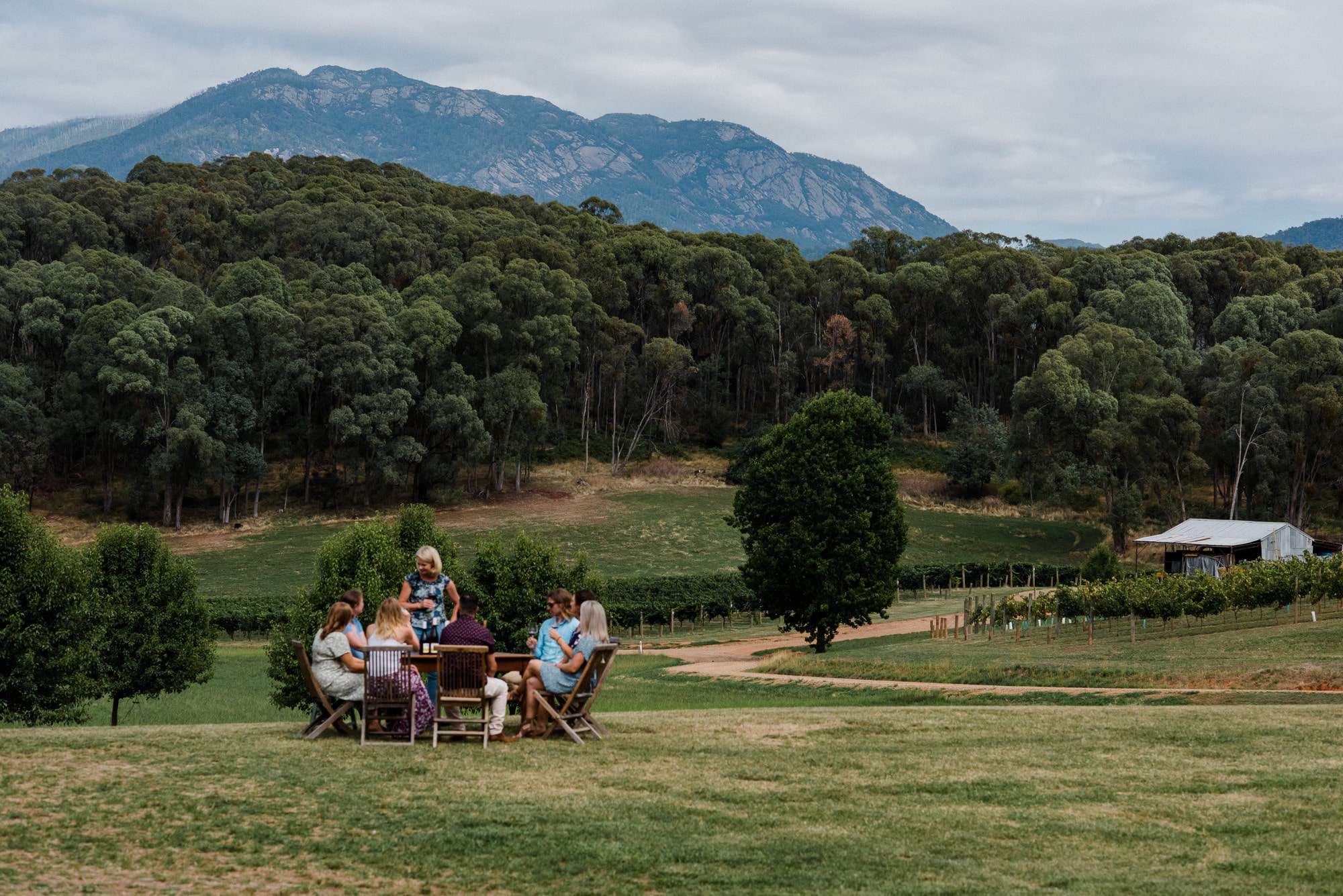 Alpine Valley Wine Region (Image Credit: Georgie James Photography)