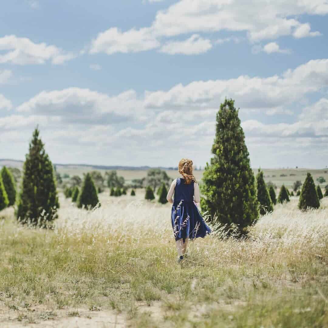 Santa's Shaped Christmas Tree Farm (Image Credit: @visityassvalley)