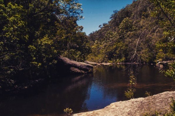 Sassafras Gully Loop (Image Credit: Andrew Azzopardi)