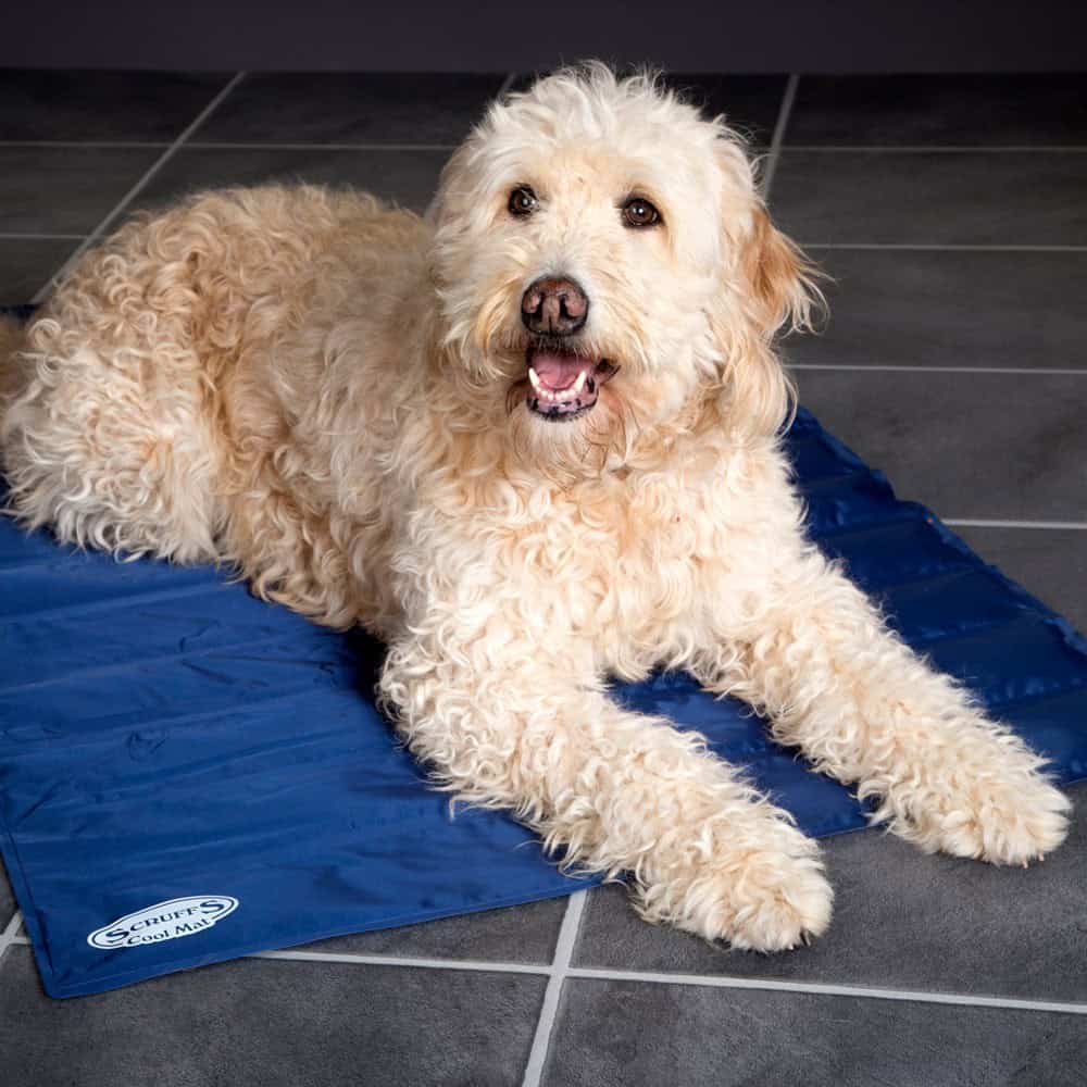 Pet Parlour Scruffs Cooling Mat 