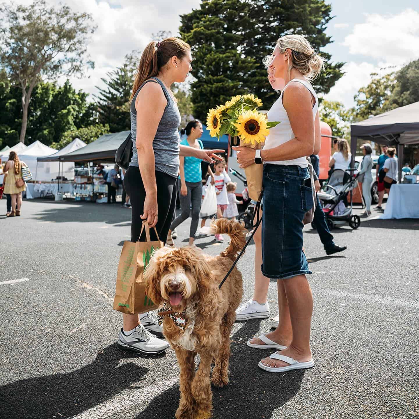 Shire Farmers' Markets 