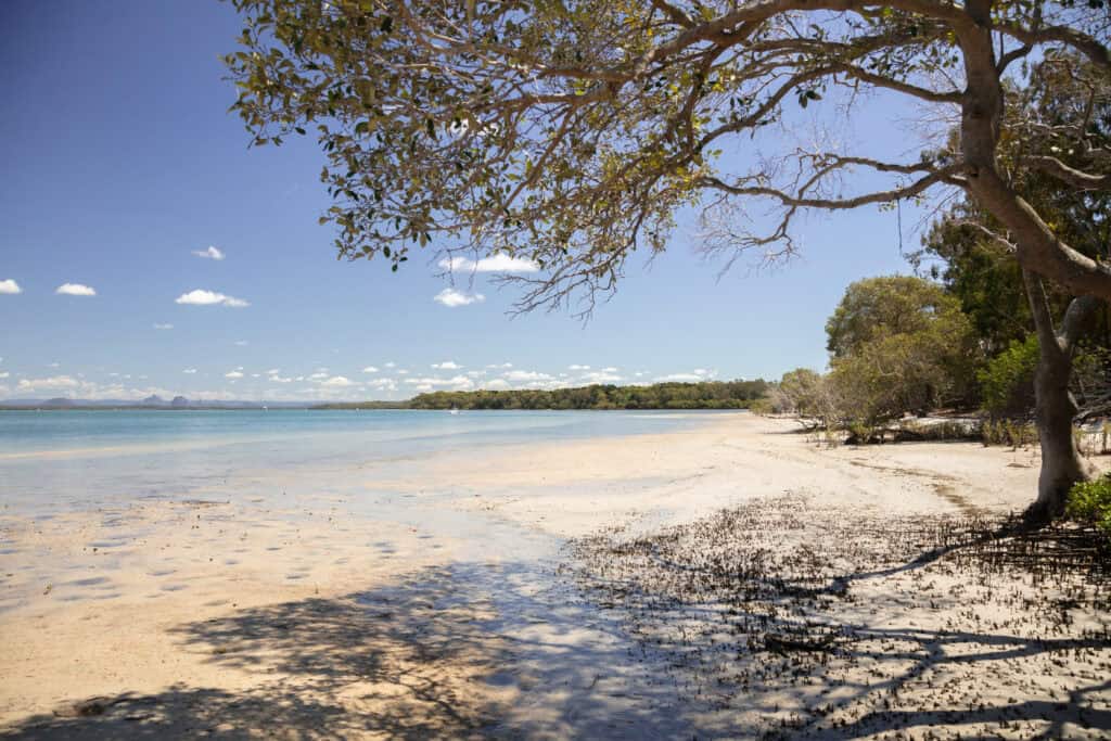 Banksia Beach Suburb Profile  