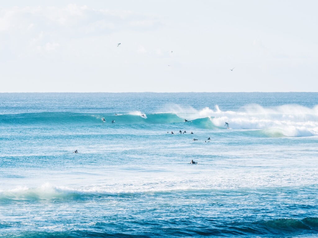 Lennox Head Suburb Profile 