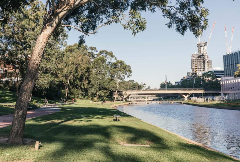 Parramatta Suburb Profile 