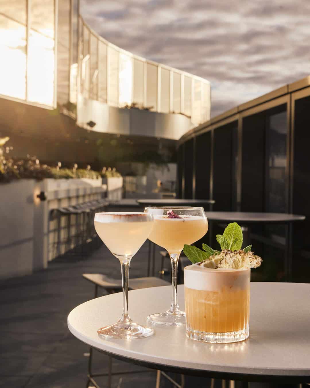 sol rooftop cocktails adelaide