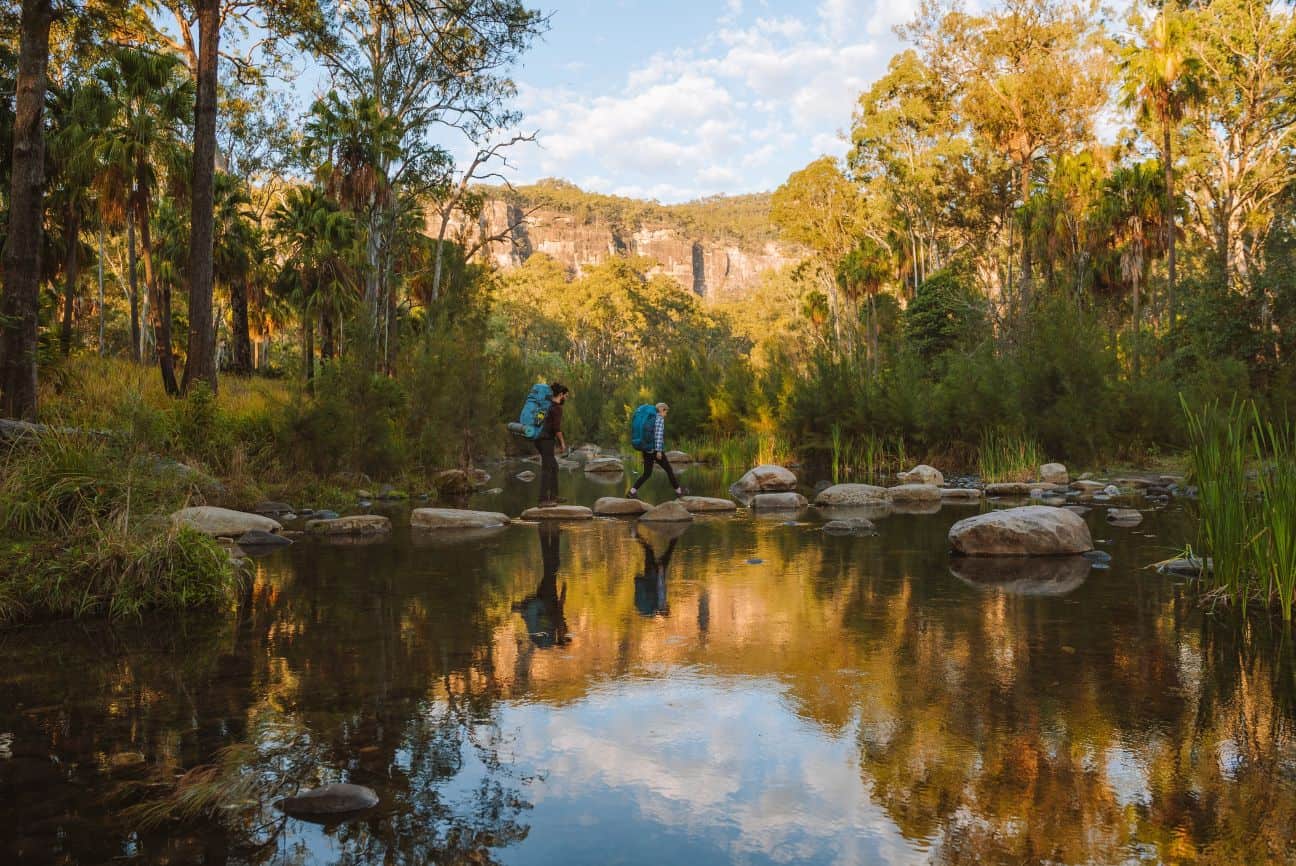 Springbrook National Park