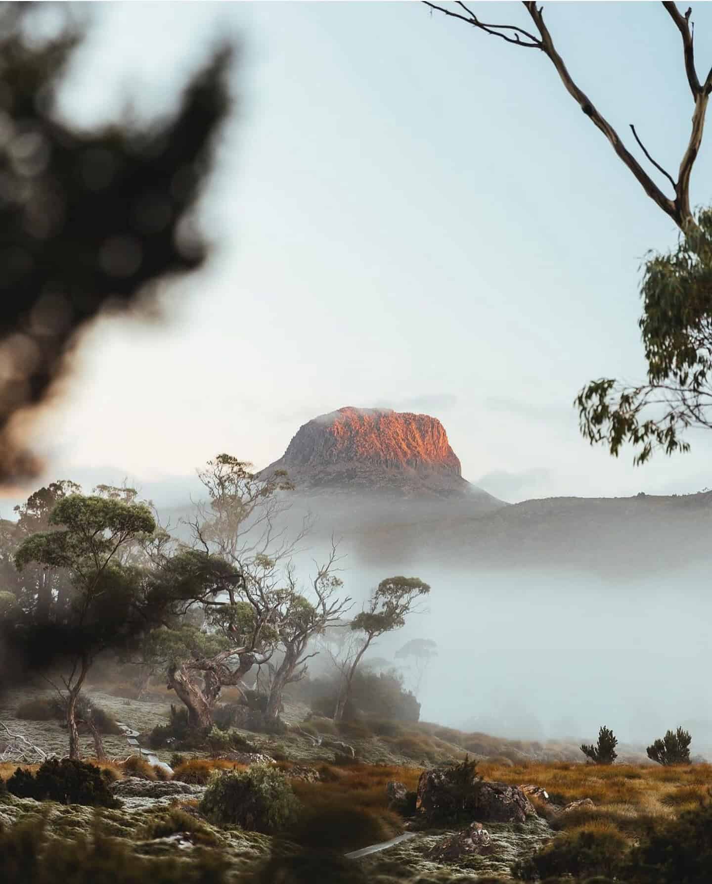 Overland Track (Image Credit: @spurwaya)