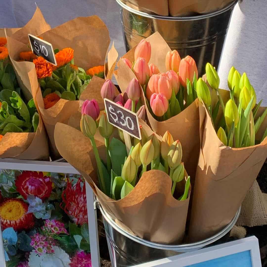 St Andrew's Market 