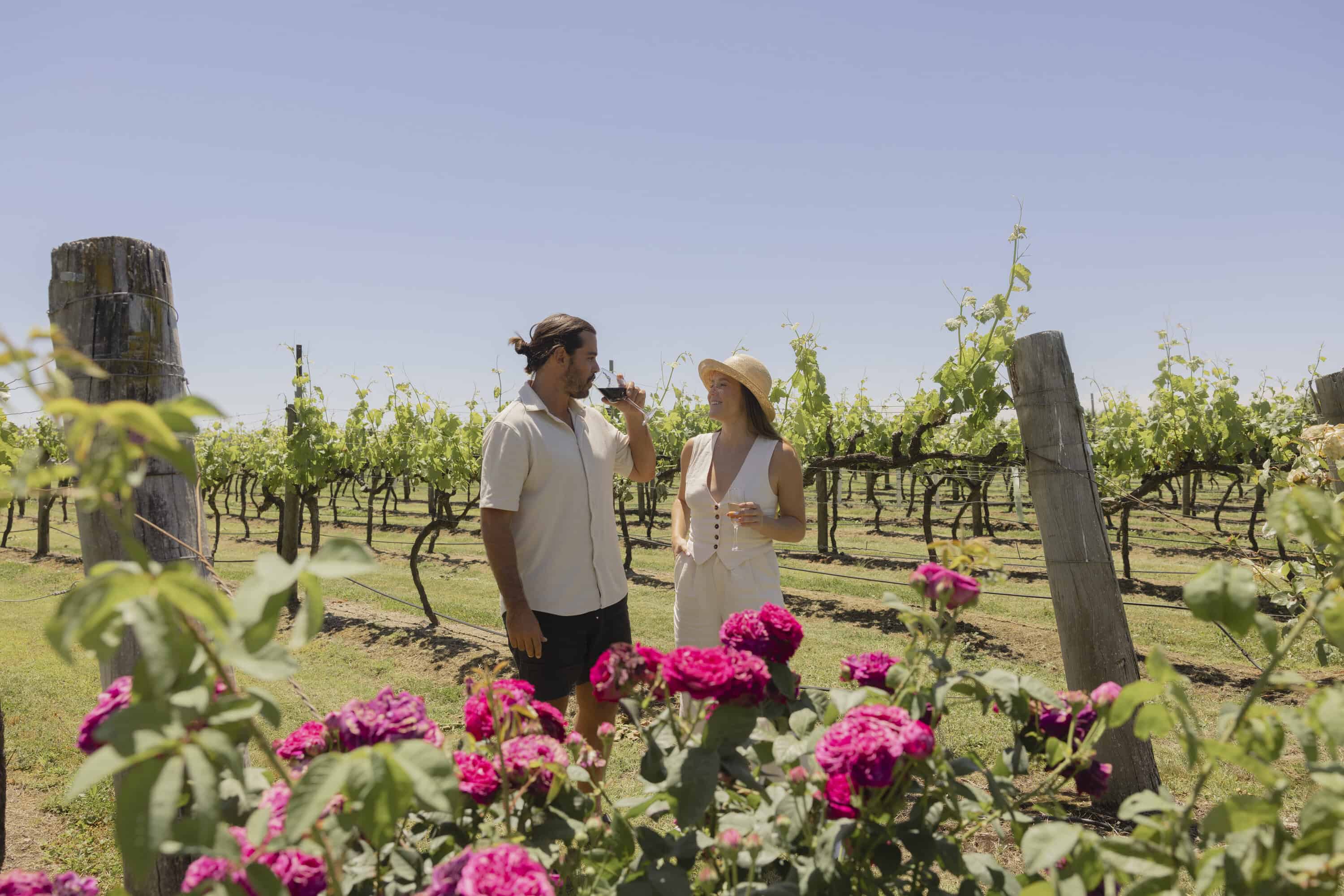 Summit Estate Wines (Photo credit: Tourism and Events Queensland)