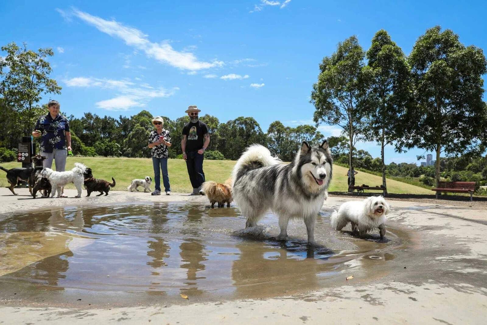 Sydney Park (Image Credit: City of Sydney)