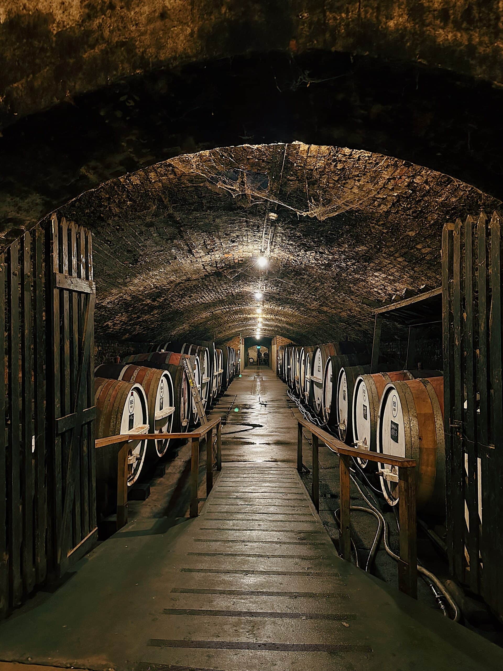 The Underground Cellars at Tahbilk Winery (Image Credit: Kelsey Harrington)