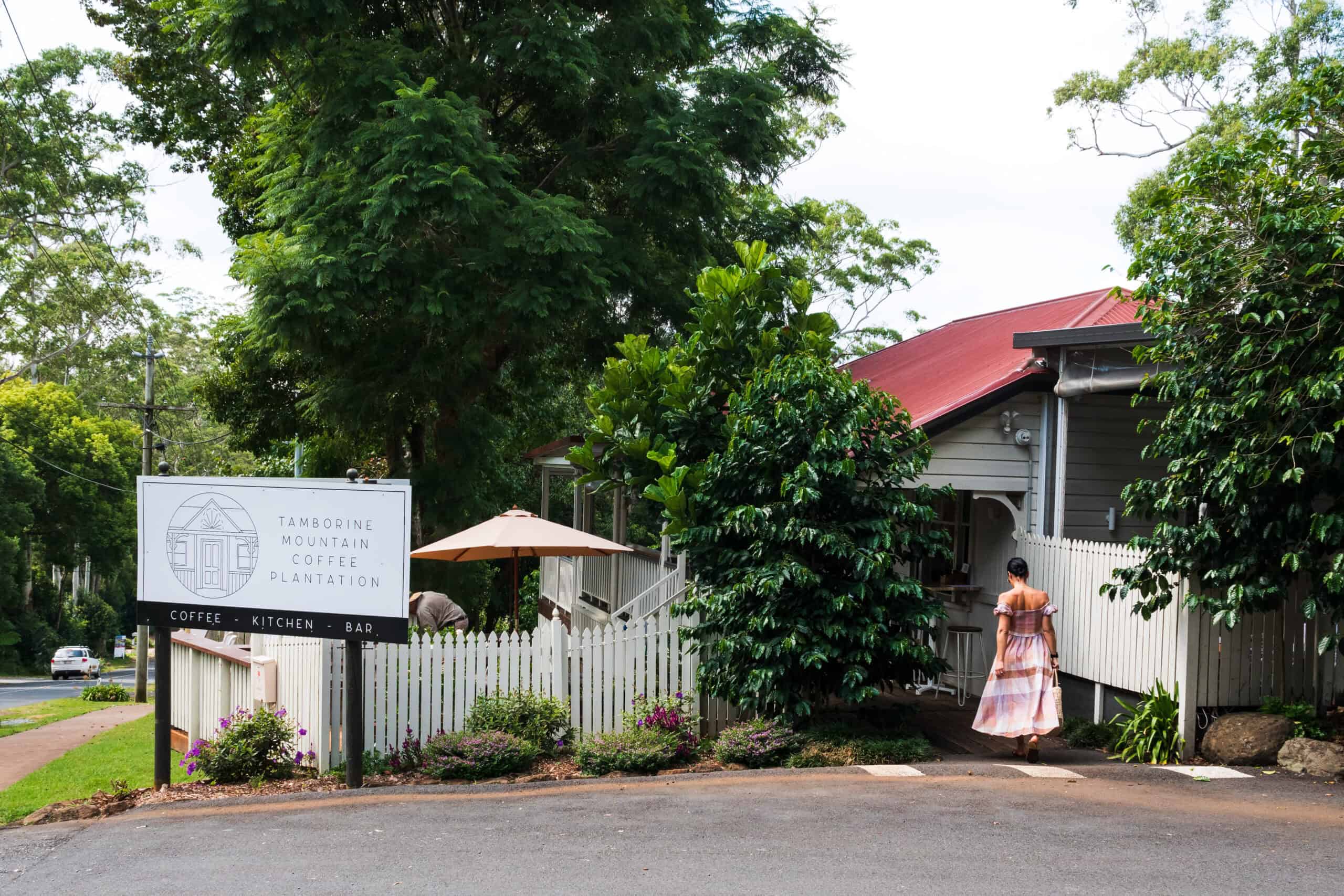 Mount Tamborine (Photo credit: Tourism and Events Queensland)