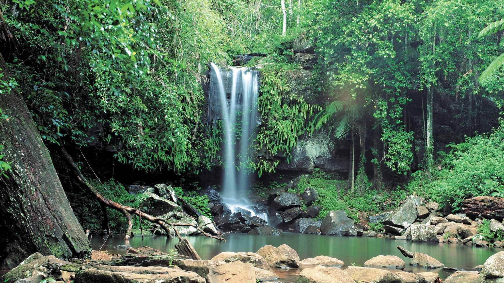 Tamborine Mountain