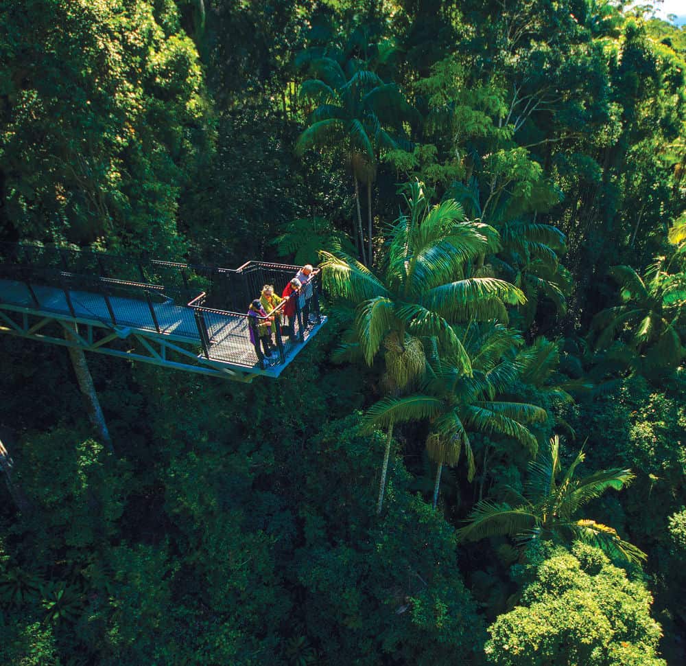 Tamborine Mountain