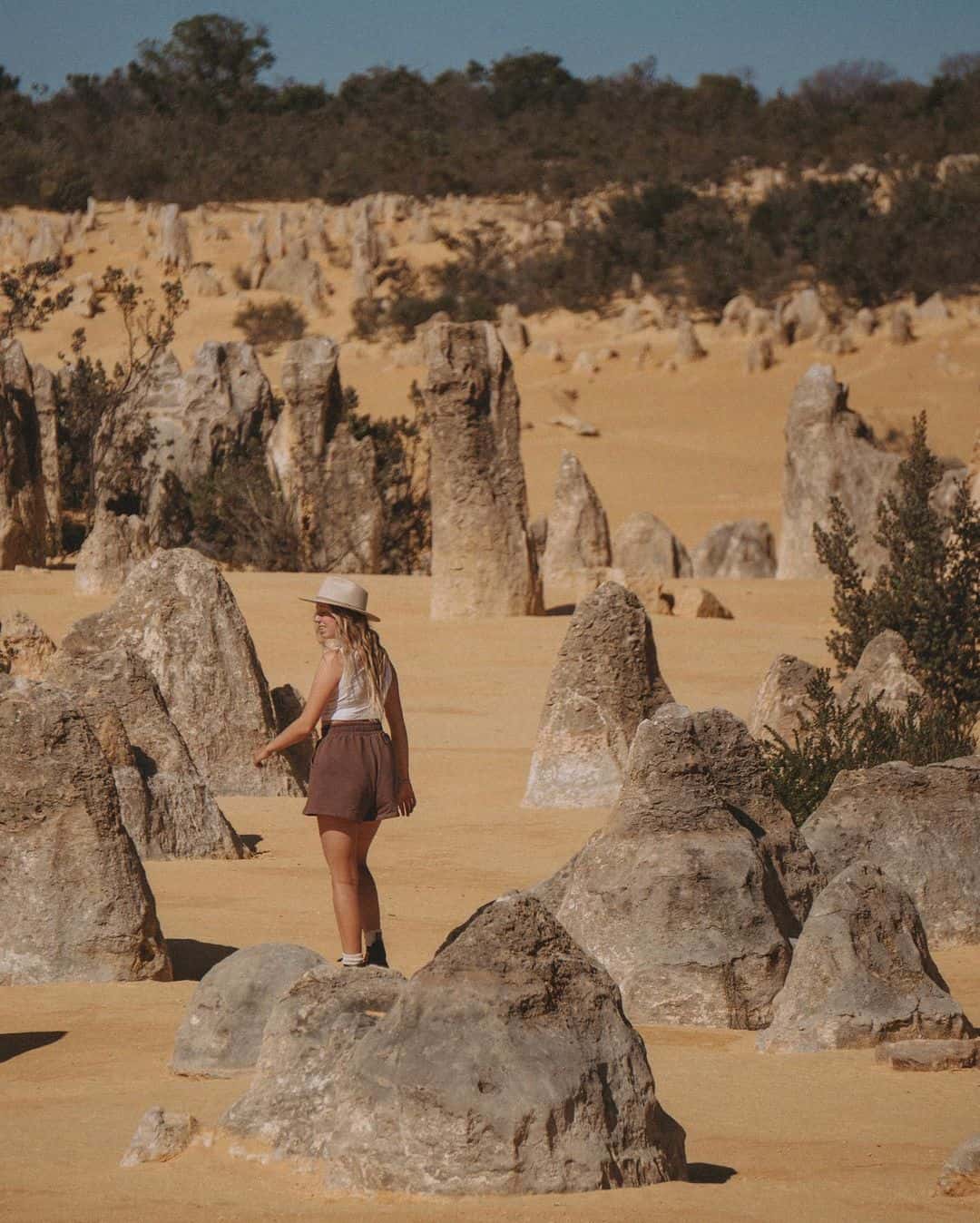 The Pinnacles (Image Credit: Australia's Coral Coast)