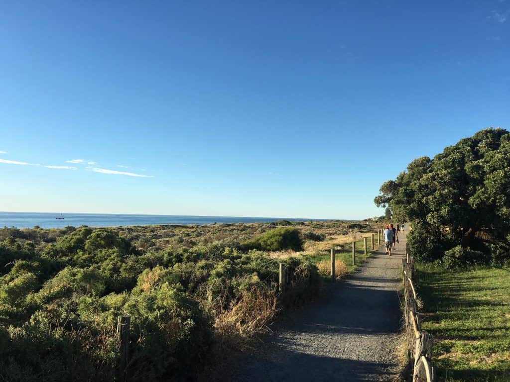 The Coast Trail