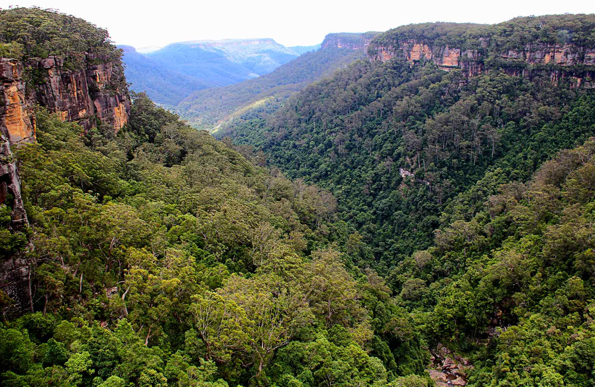 Three Views Walking Track, Kangaroo Valley 