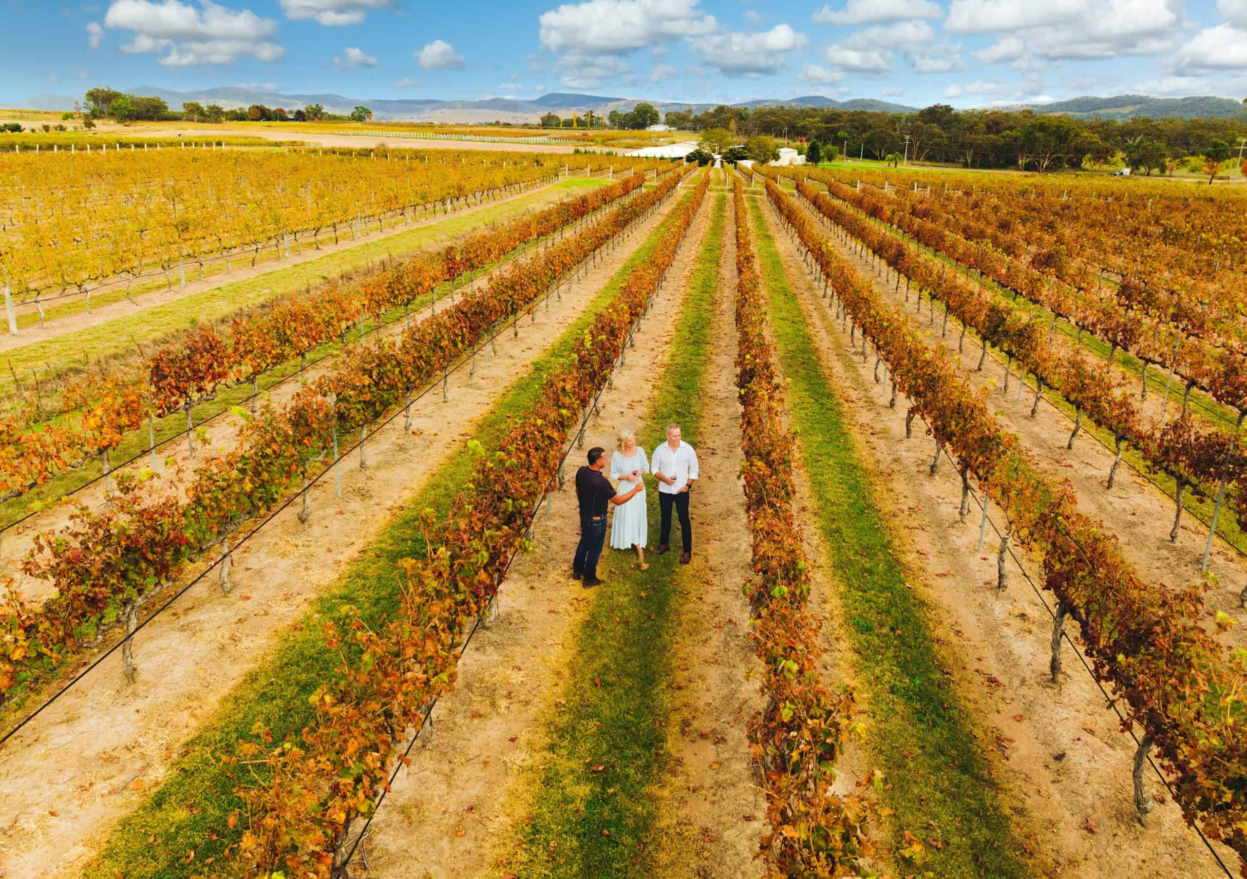 Tobin Wines (Photo credit: Tourism and Events Queensland)