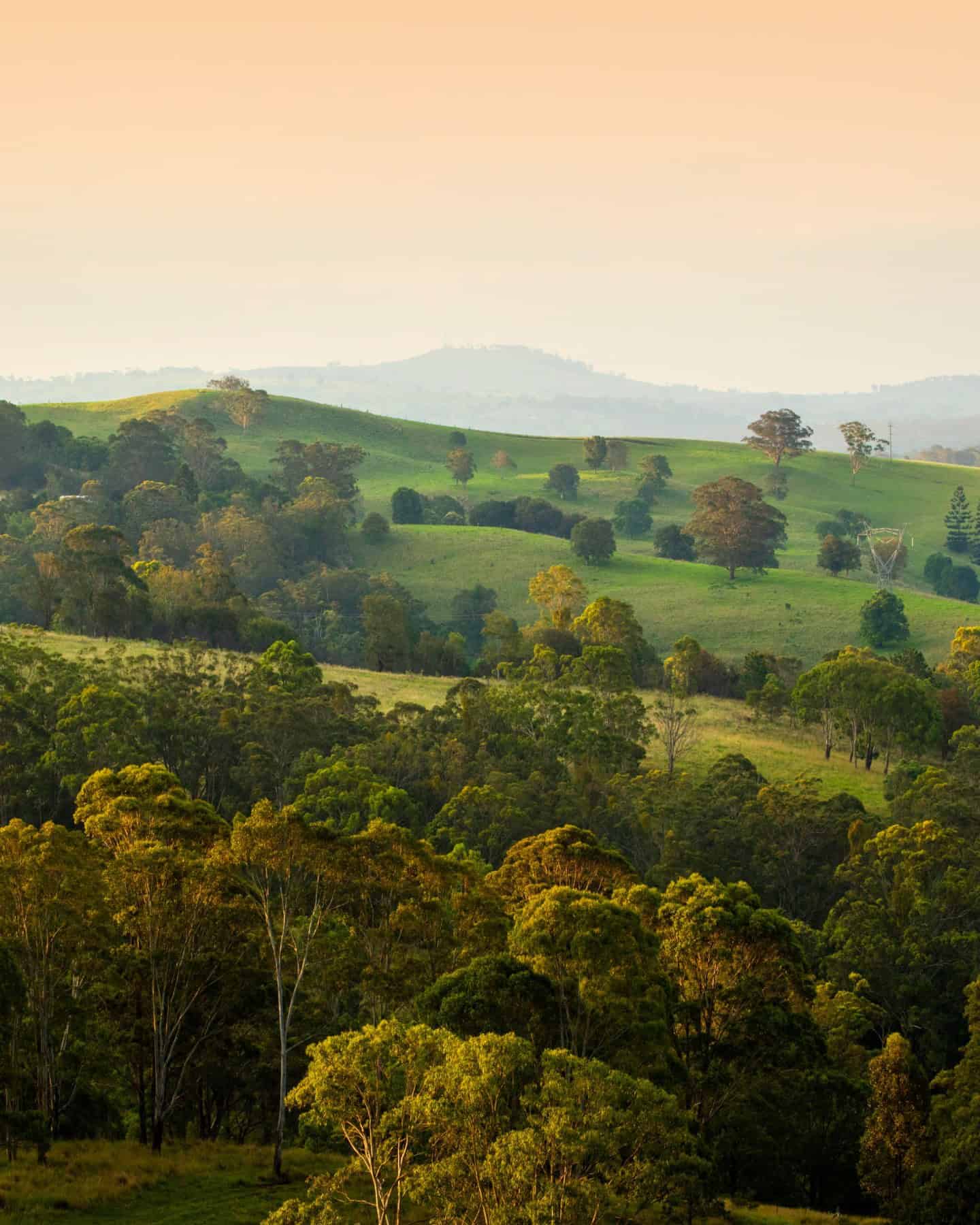 Toowoomba (Image Credit: Visit Toowoomba Region) 