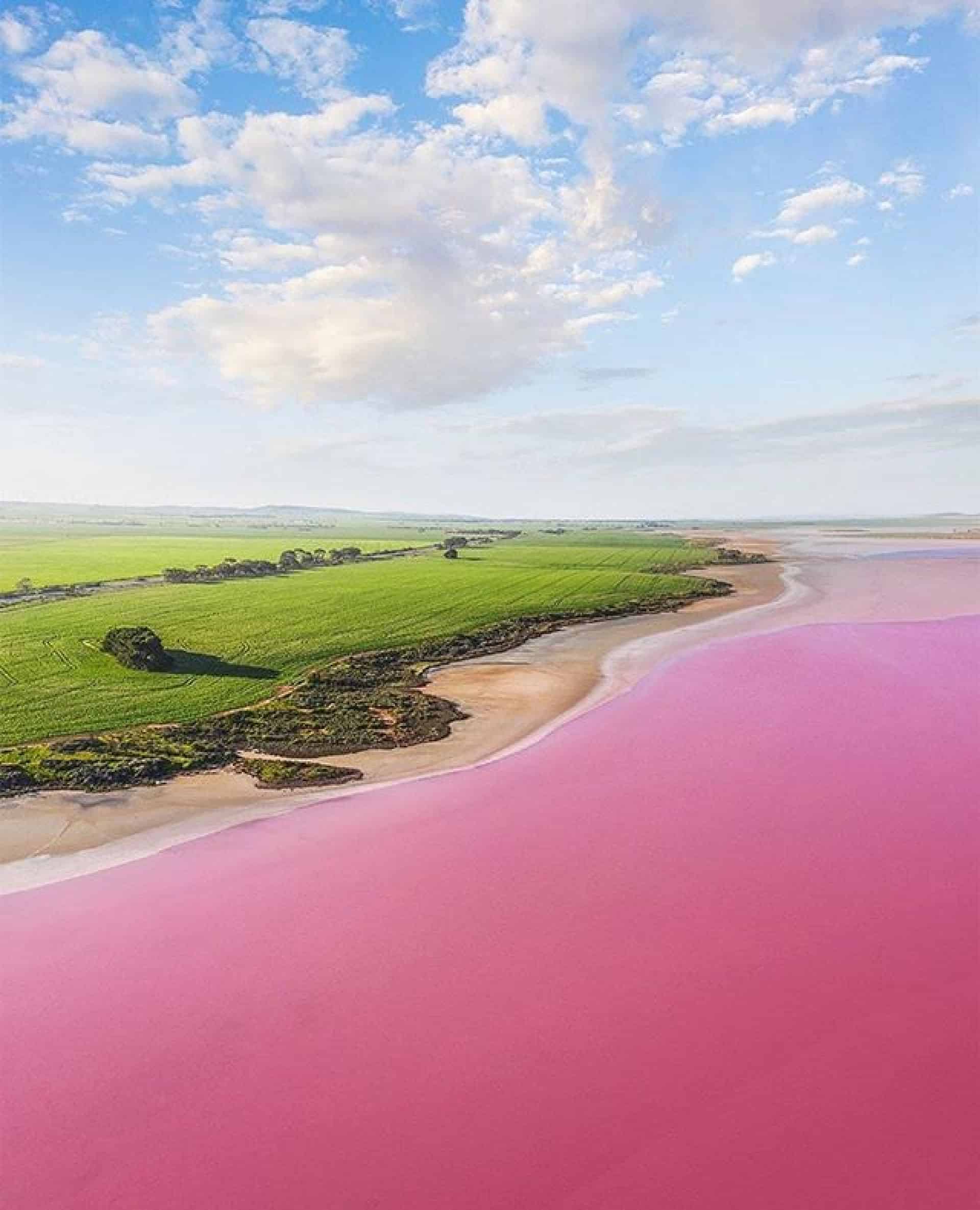 Lake Bumbunga & The Pink Lakes